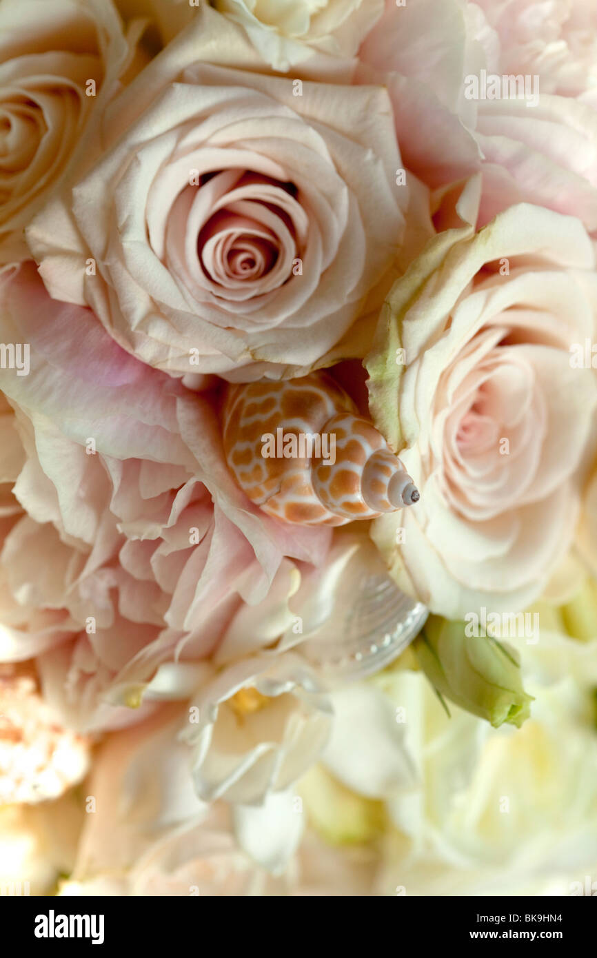 pastel bridal flowers, seashell Stock Photo