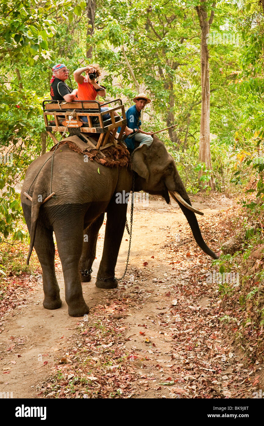 Visitors on elephant ride at National Thai Elephant Conservation Center; Lampang, Chiang Mai Province, Thailand. Stock Photo