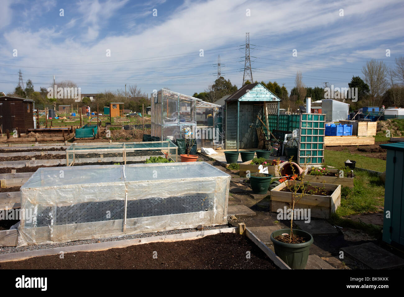 cold frames and home made greenhouses on an allotment site in northern