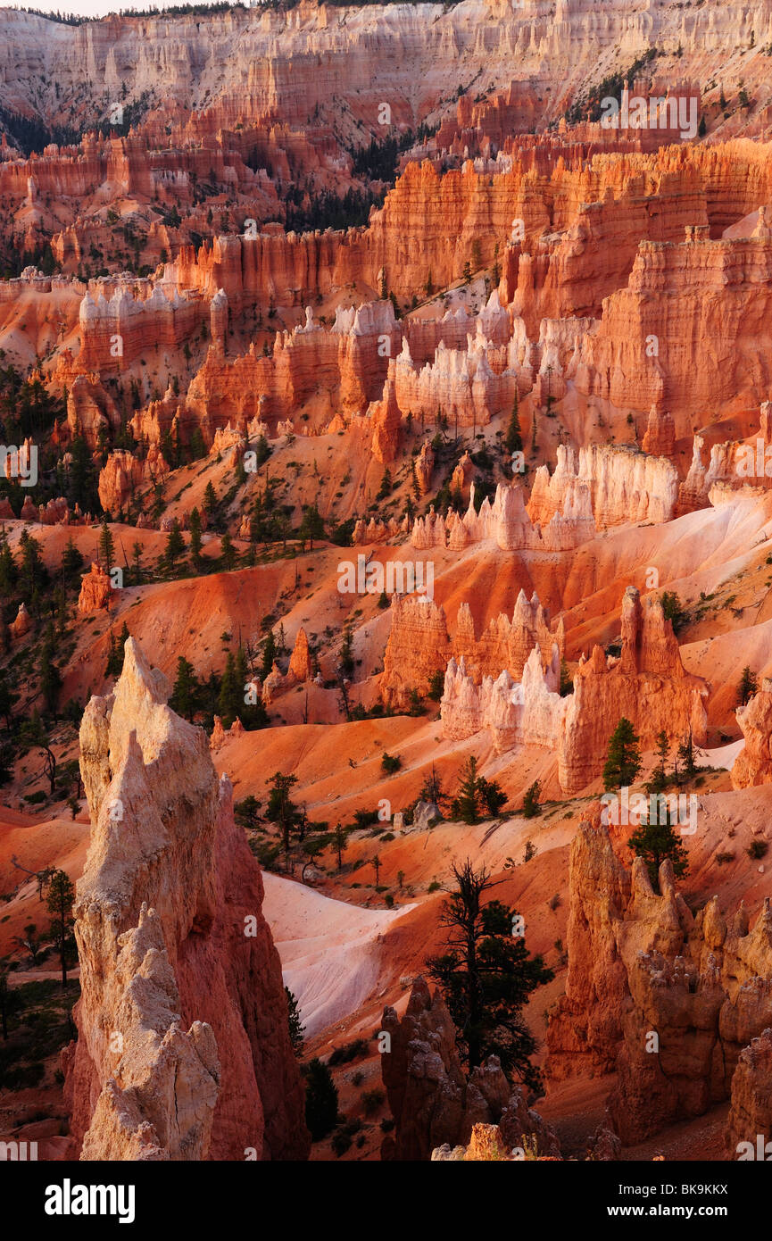 Scenic view on Bryce Canyon from Sunrise point, Utah, USA Stock Photo