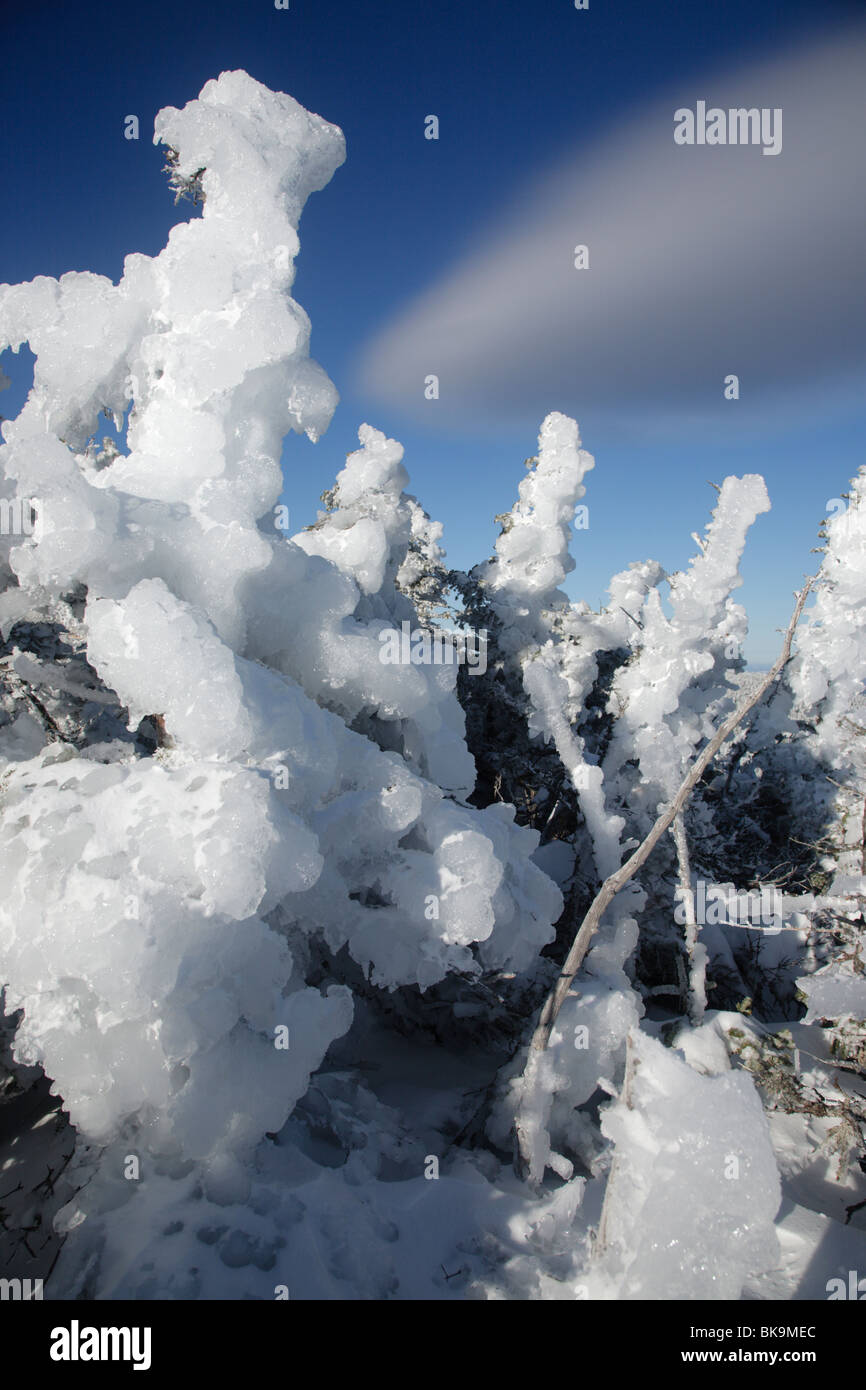 Ice covered trees along the Carter-Moriah Trail in the White Mountains ...