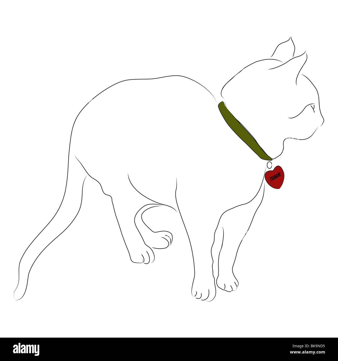 A Tabby Cat Standing And Looking Out A Window Stock Photo Alamy