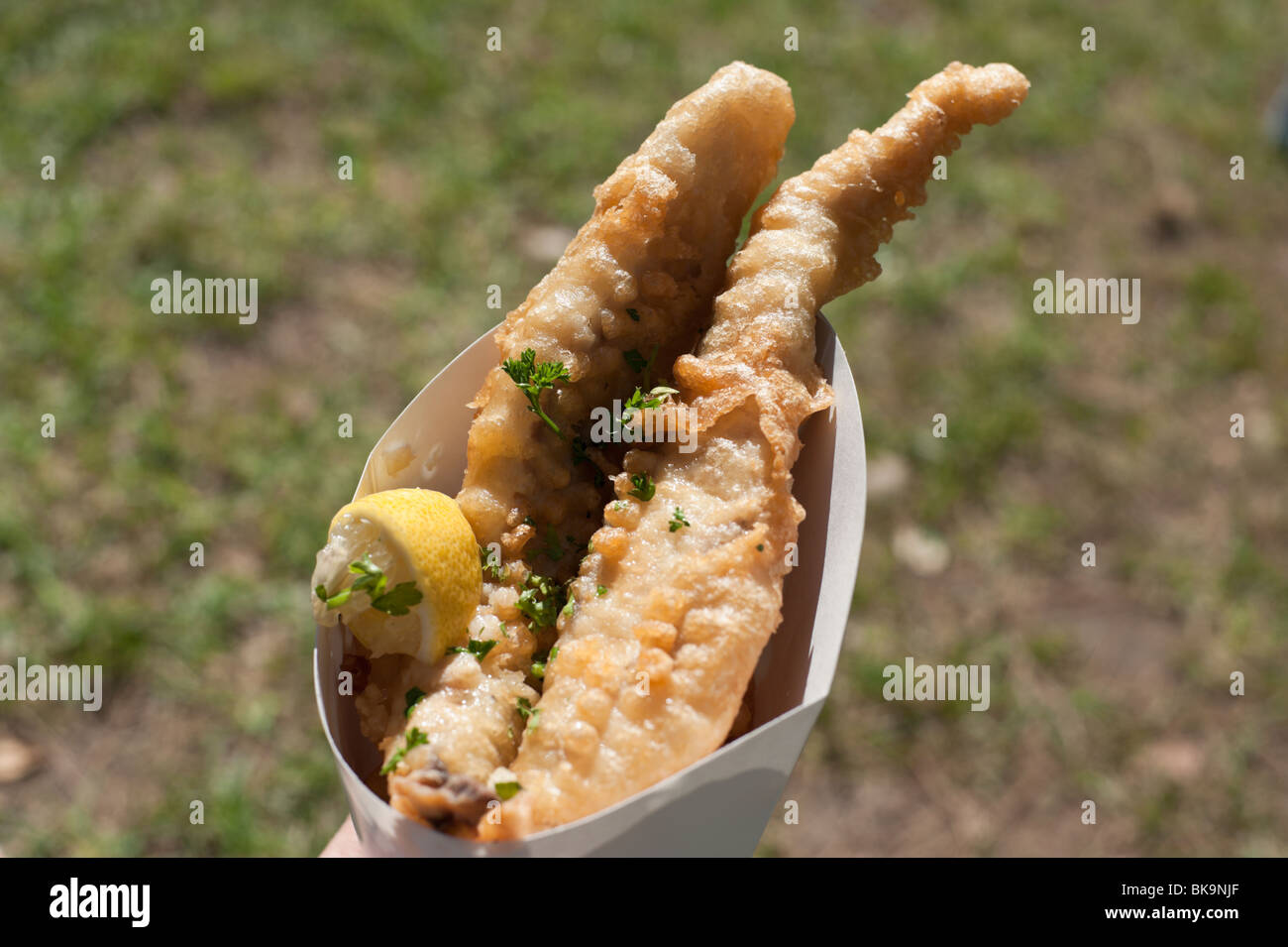 Deep fried local fish is stacked on chips and served in a cone of cardboard with a wedge of lemon and parsley for garnish Stock Photo