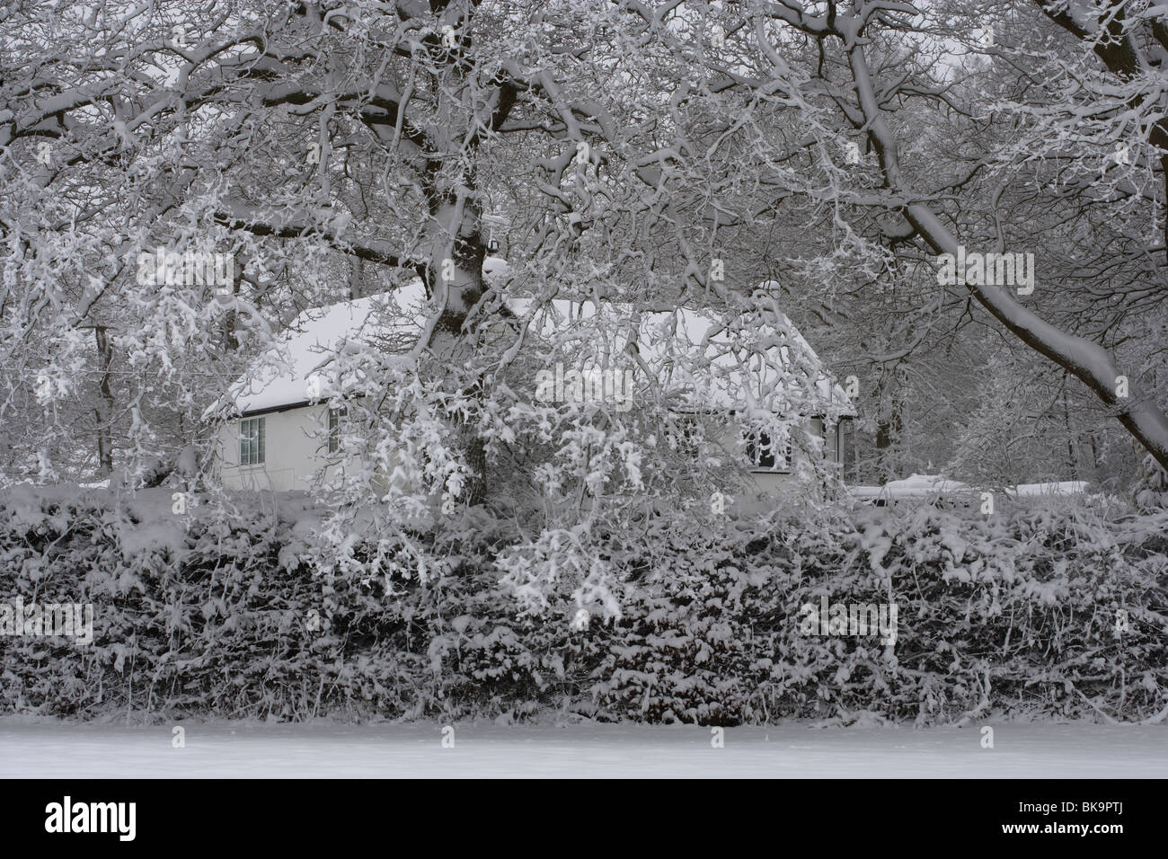 Winter scene rural sussex hi-res stock photography and images - Alamy