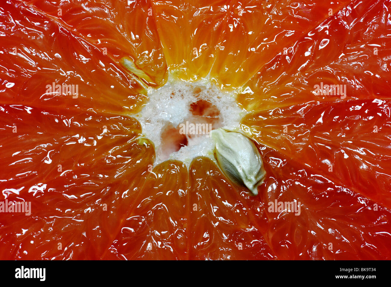 Red grapefruit (Citrus paradisi), cut, close-up Stock Photo