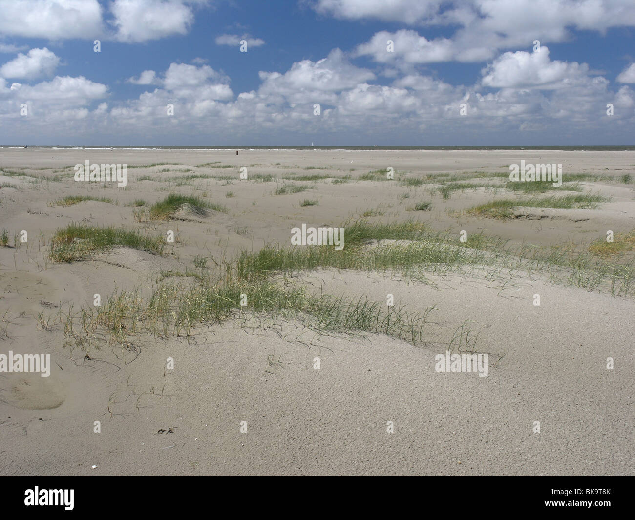 Prille duinvorming op het strand van Schiermonnikoog Stock Photo