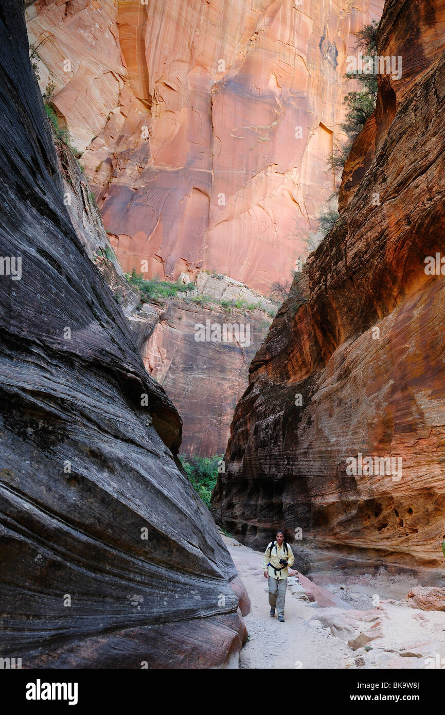 Observation Point path way in Zion National Park, Utah, USA Stock Photo