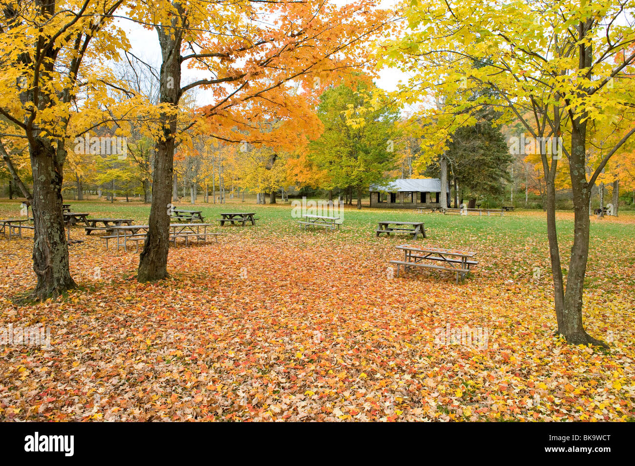 Picnic Area with Fall Colors Ohio State Park Stock Photo