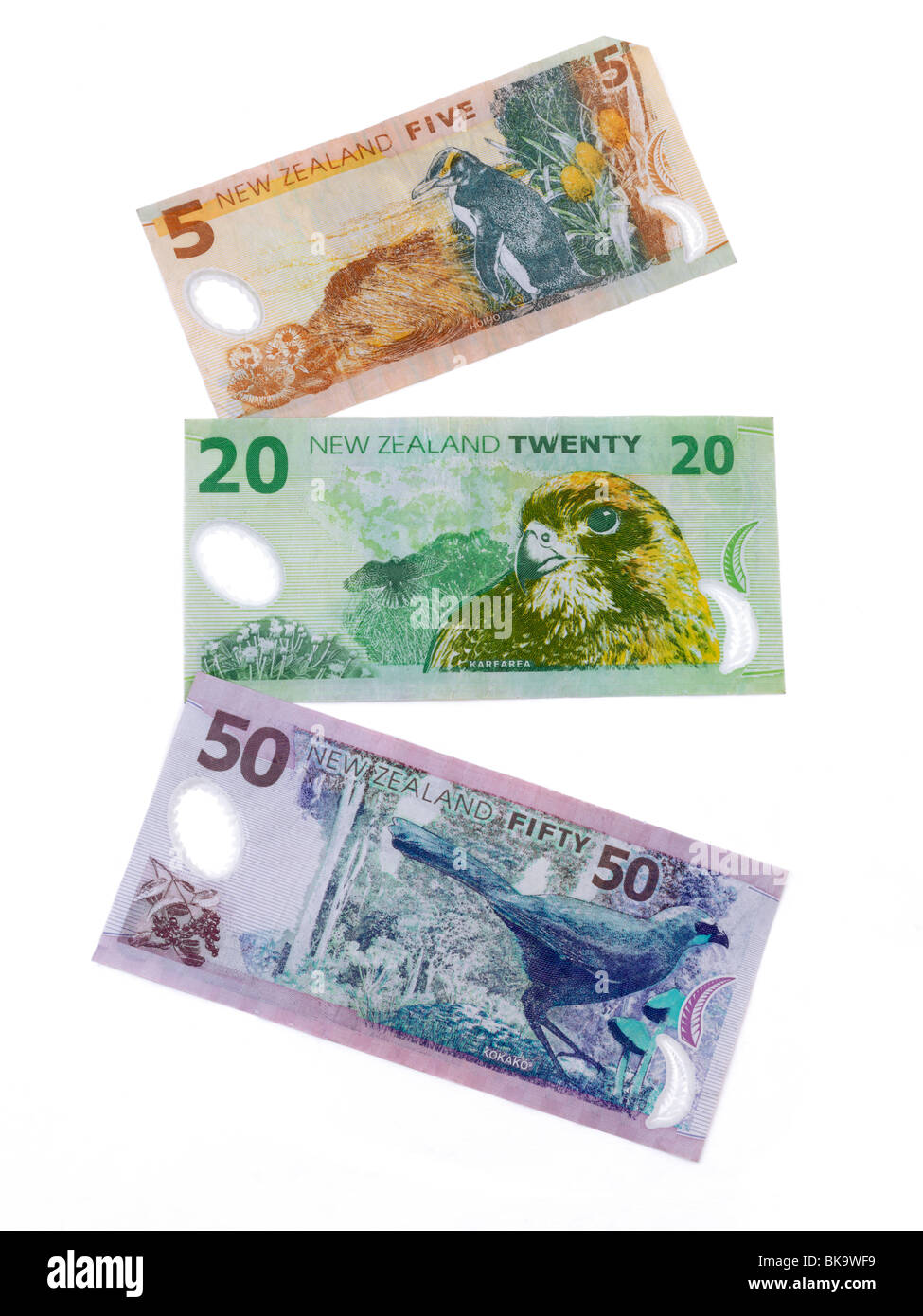 New Zealand Banknotes 5, 20 and 50 Dollars Stock Photo