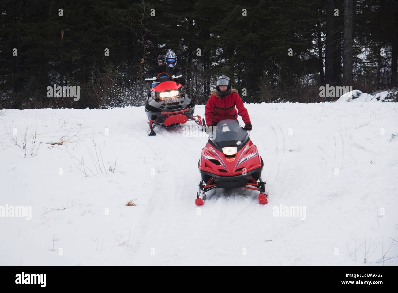 Two Snowmobiles On A Trail Stock Photo