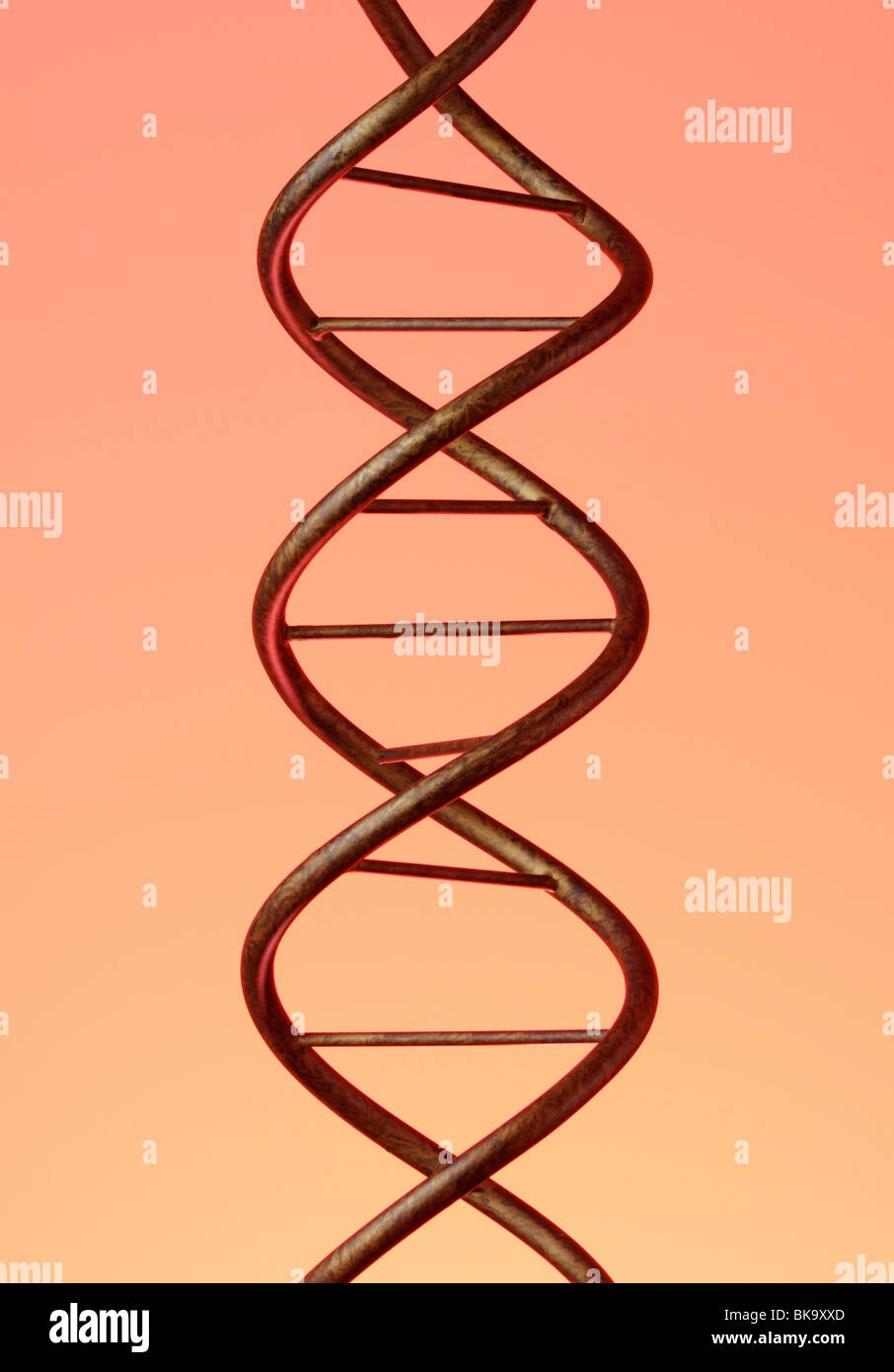 DNA double helix Stock Photo
