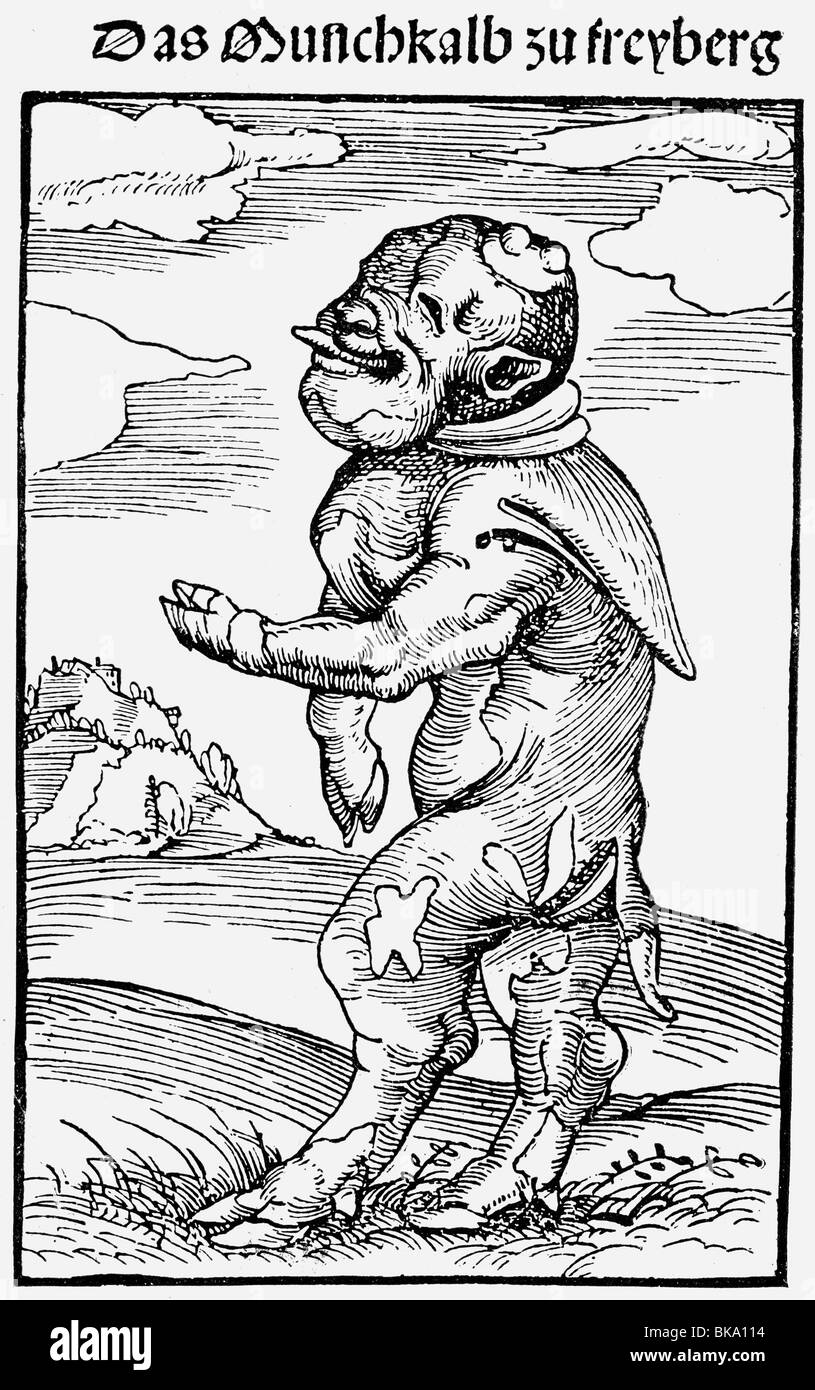 zoology, cattle (Bos primigenus taurus), deformated calf, mooncalf of Freiberg, Saxony, born 8.12.1522, woodcut by Lucas Cranach the Elder, January 1523, abnormalism, disfiguration, interpreted as personification of Martin Luther, protest reformation, Germany, 16th century, historic, historical, Stock Photo