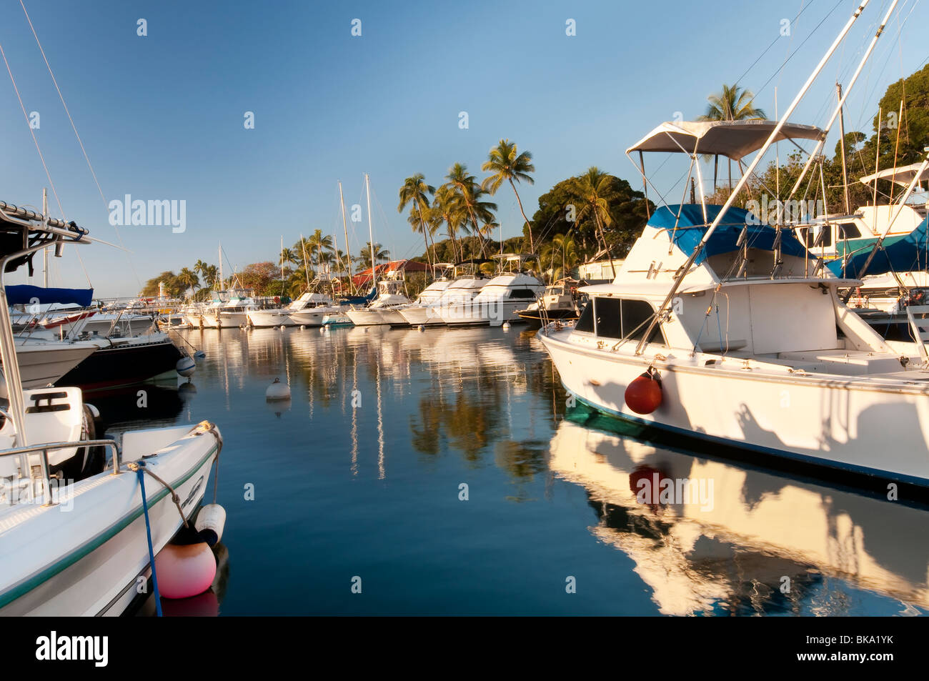 Lahaina Harbor, West Maui Hawaii showing big game fishing boats and