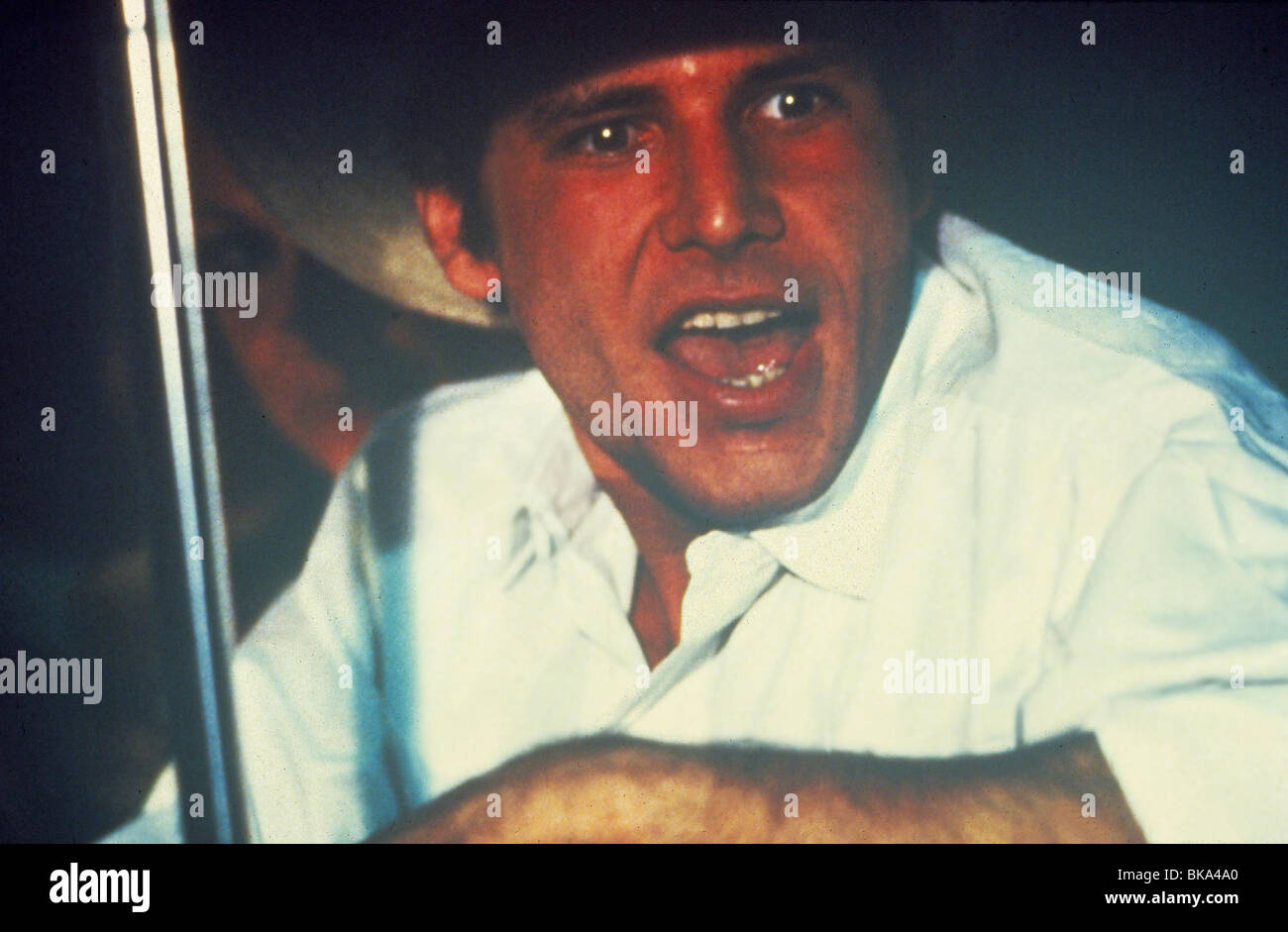 AMERICAN GRAFFITI (1973) HARRISON FORD AMGR 010 Stock Photo