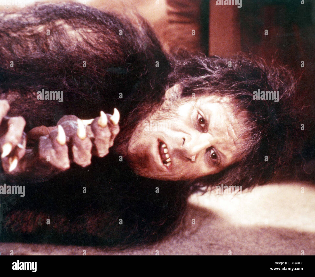 WEREWOLF, AN AMERICAN WEREWOLF IN LONDON, 1981 Stock Photo - Alamy