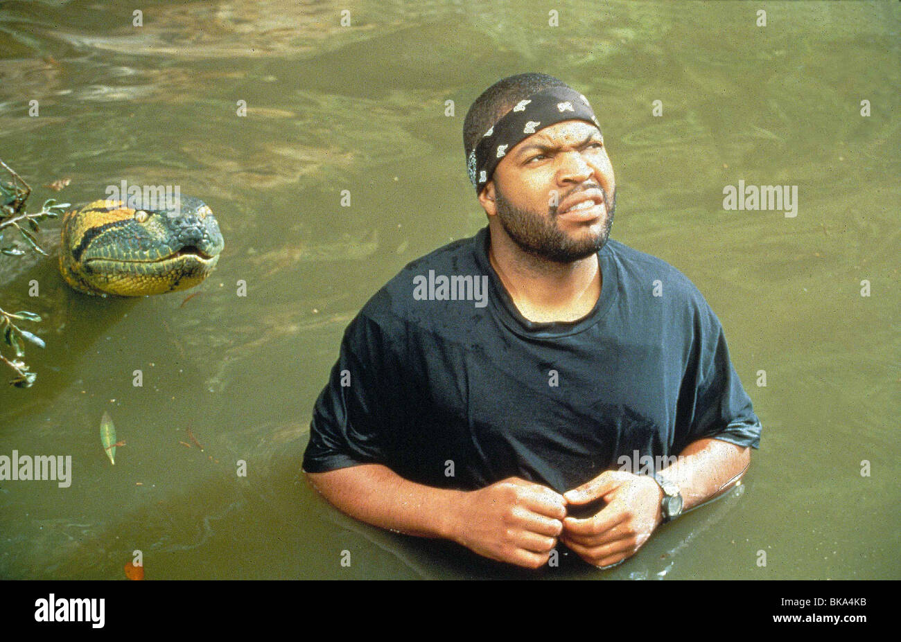 Ice Cube Bandana High Resolution Stock Photography and Images - Alamy