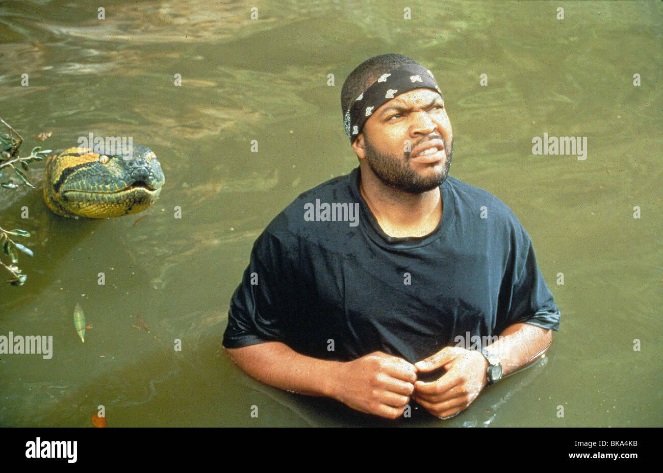 Ice cube bandana hi-res stock photography and images - Alamy