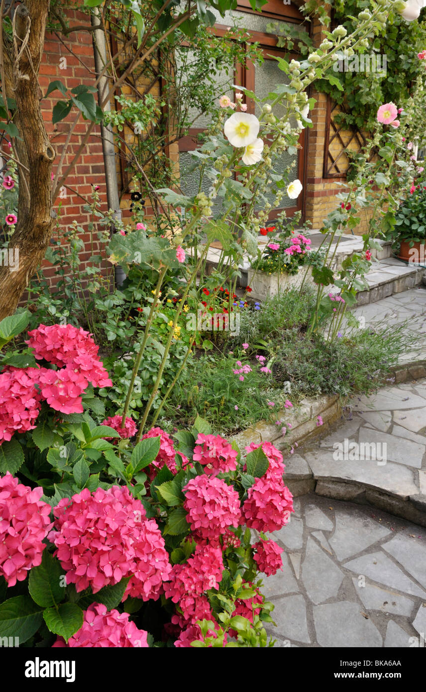 Hydrangeas (Hydrangea) and hollyhocks (Alcea) in a front garden. Design: Jutta Wahren Stock Photo