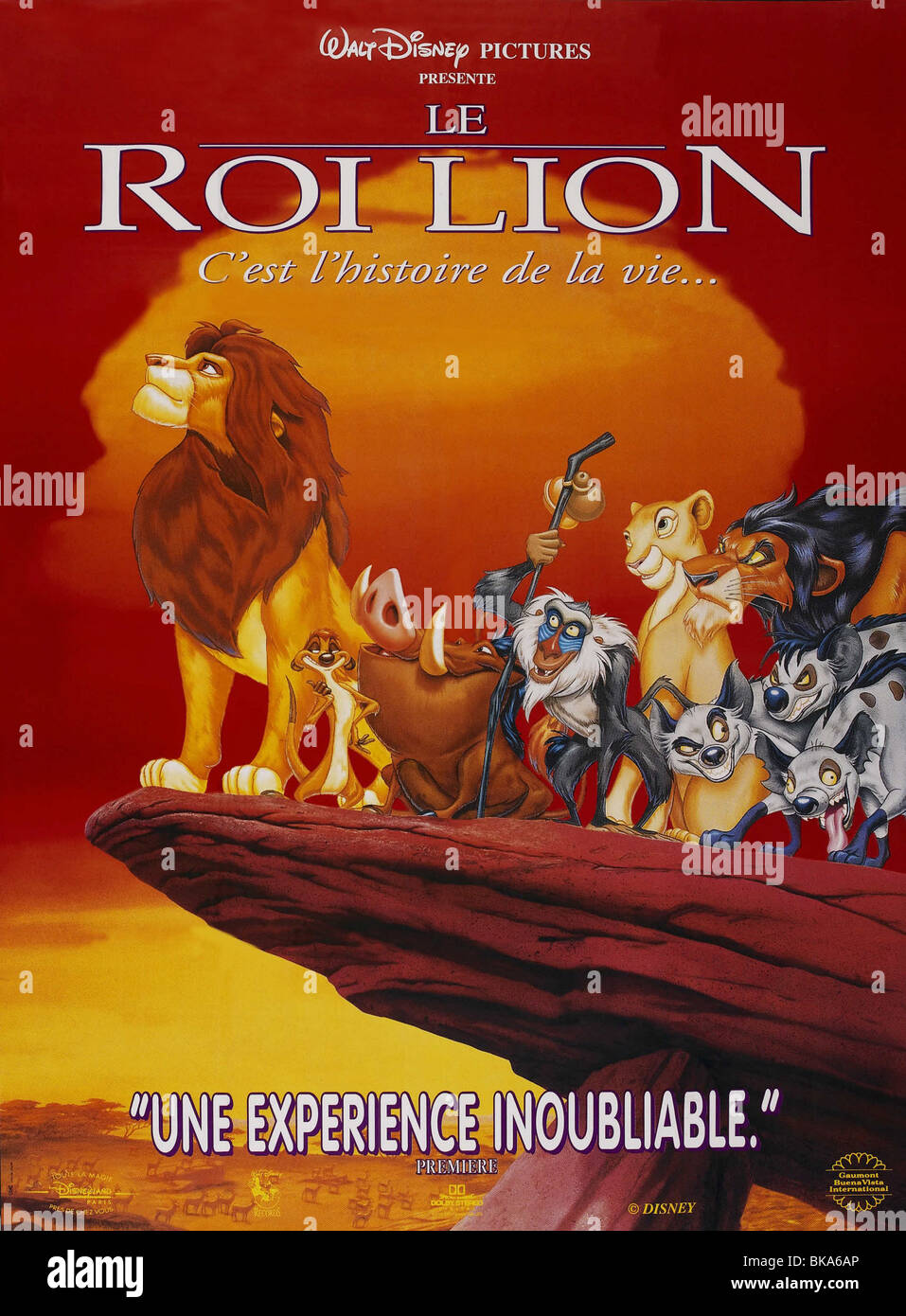The Lion King  Year : 1994 Director : Roger Allers Rob Minkoff Animation Movie poster (Fr) Stock Photo