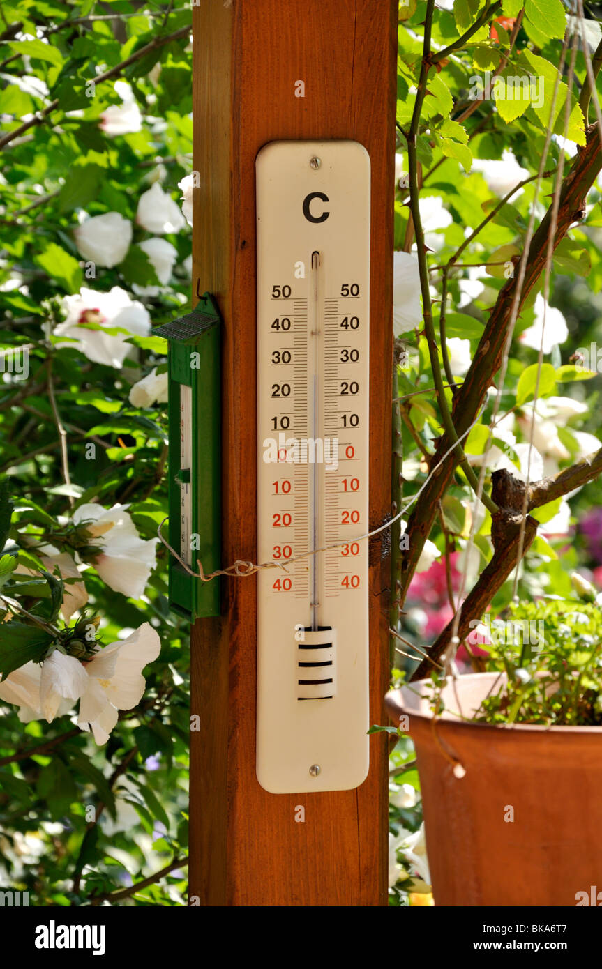 https://c8.alamy.com/comp/BKA6T7/thermometer-design-jutta-wahren-BKA6T7.jpg
