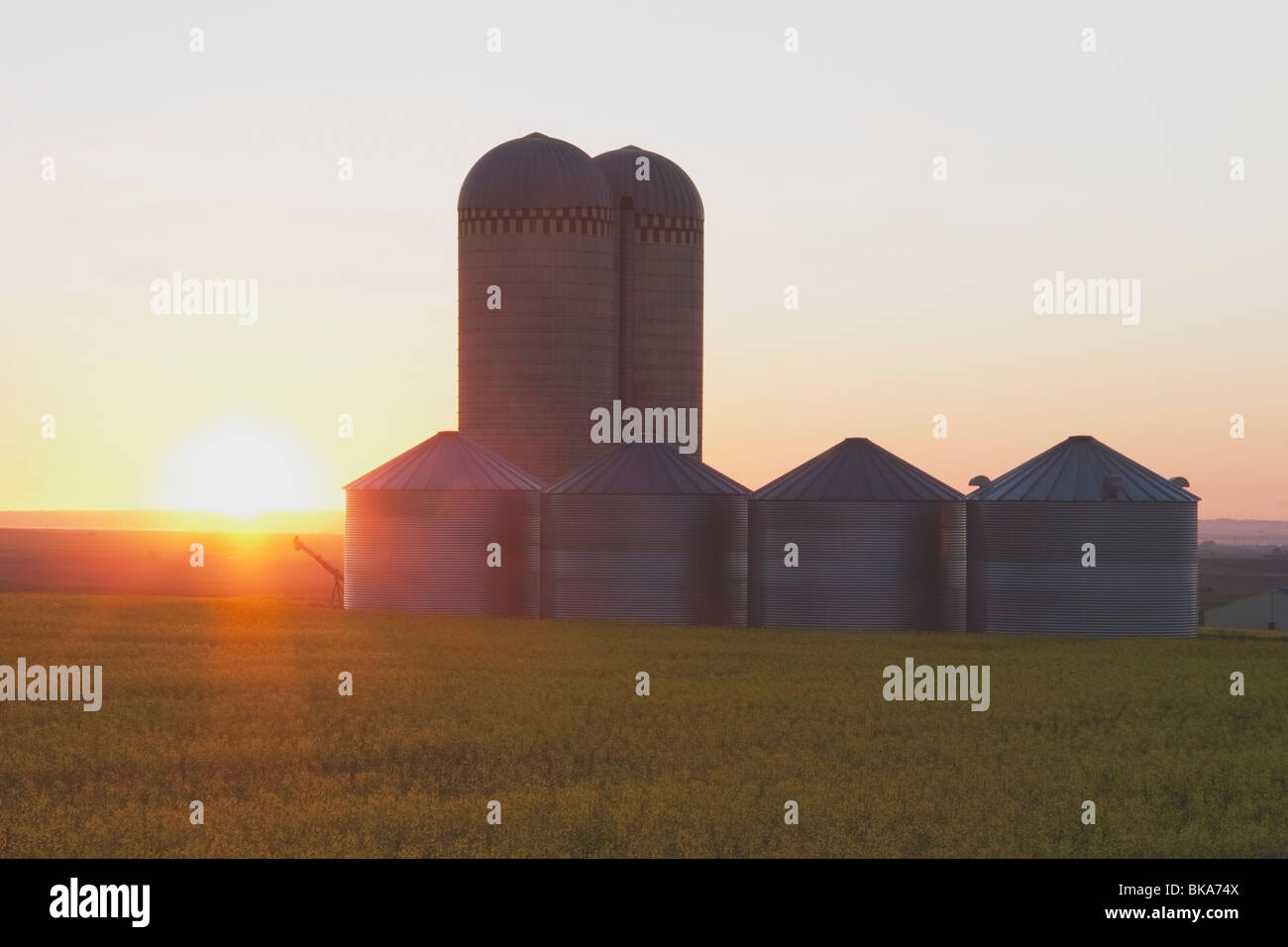 Alberta, Canada; Grain Bins At Sunrise Stock Photo Alamy