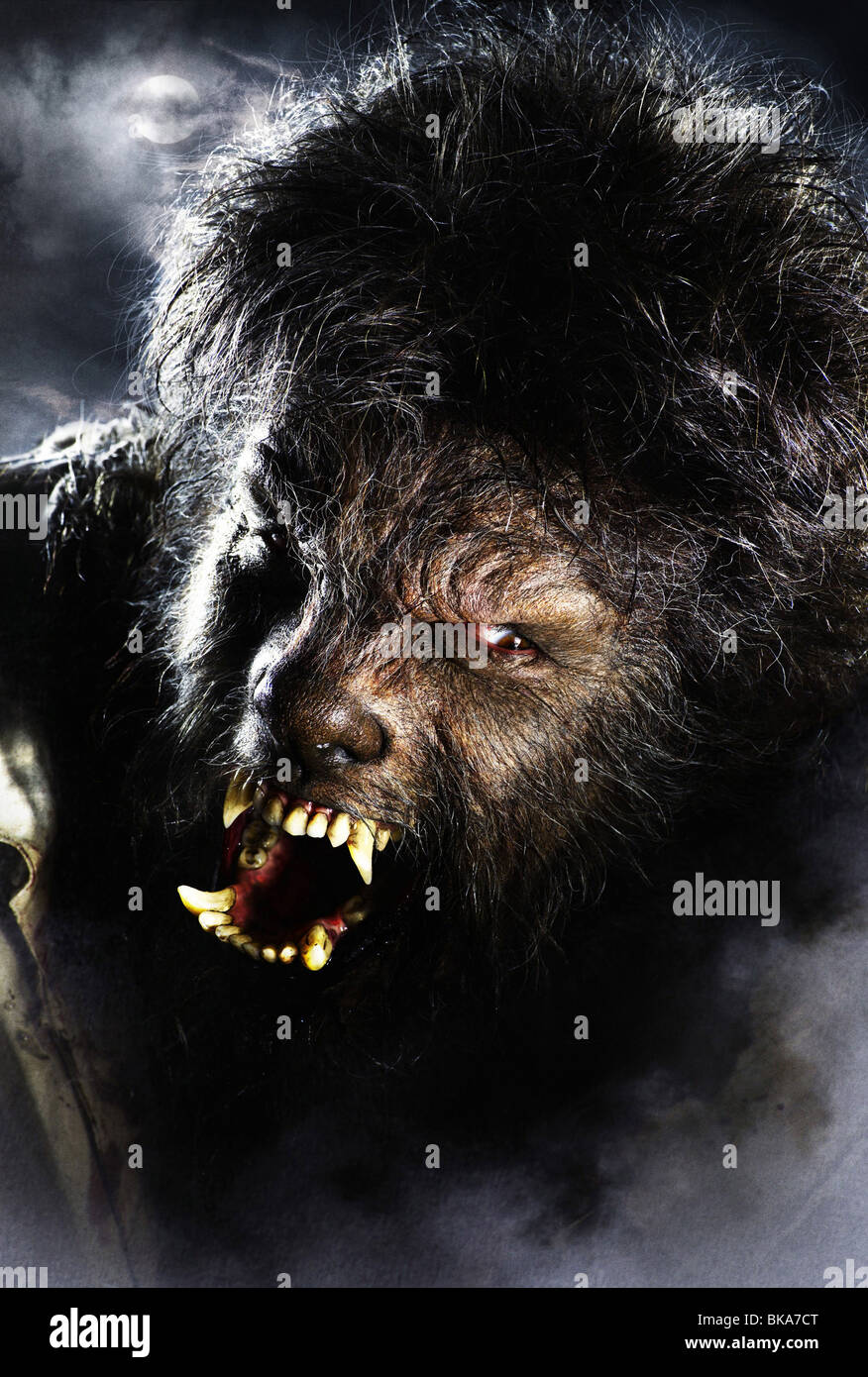 The Wolfman Year : 2010 Director : Joe Johnston Benicio Del Toro Stock Photo