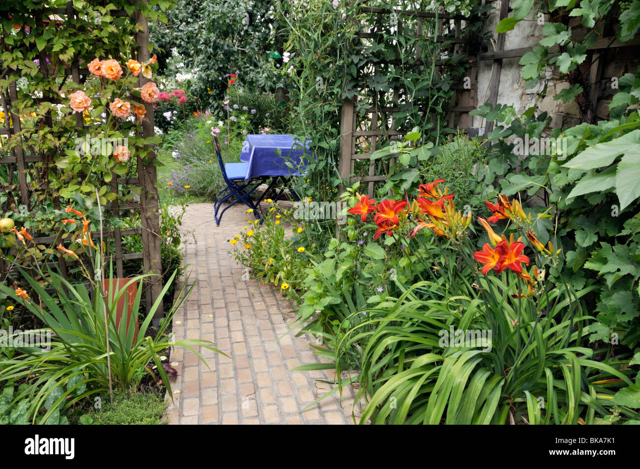 Roses (Rosa) and day lilies (Hemerocallis) in a backyard garden. Design: Jutta Wahren Stock Photo