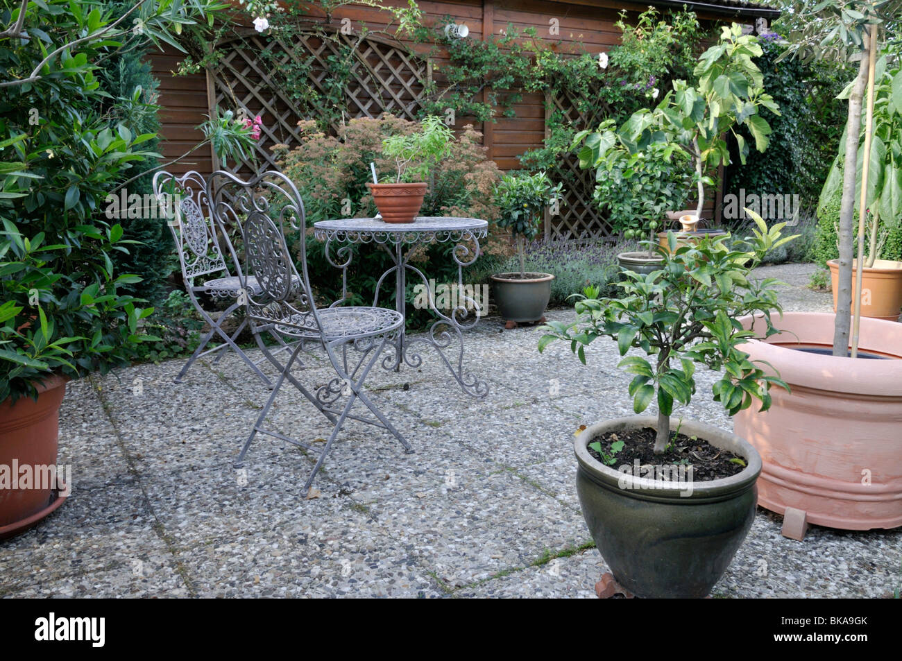 Seating area with potted plants. Design: Marianne and Detlef Lüdke Stock Photo
