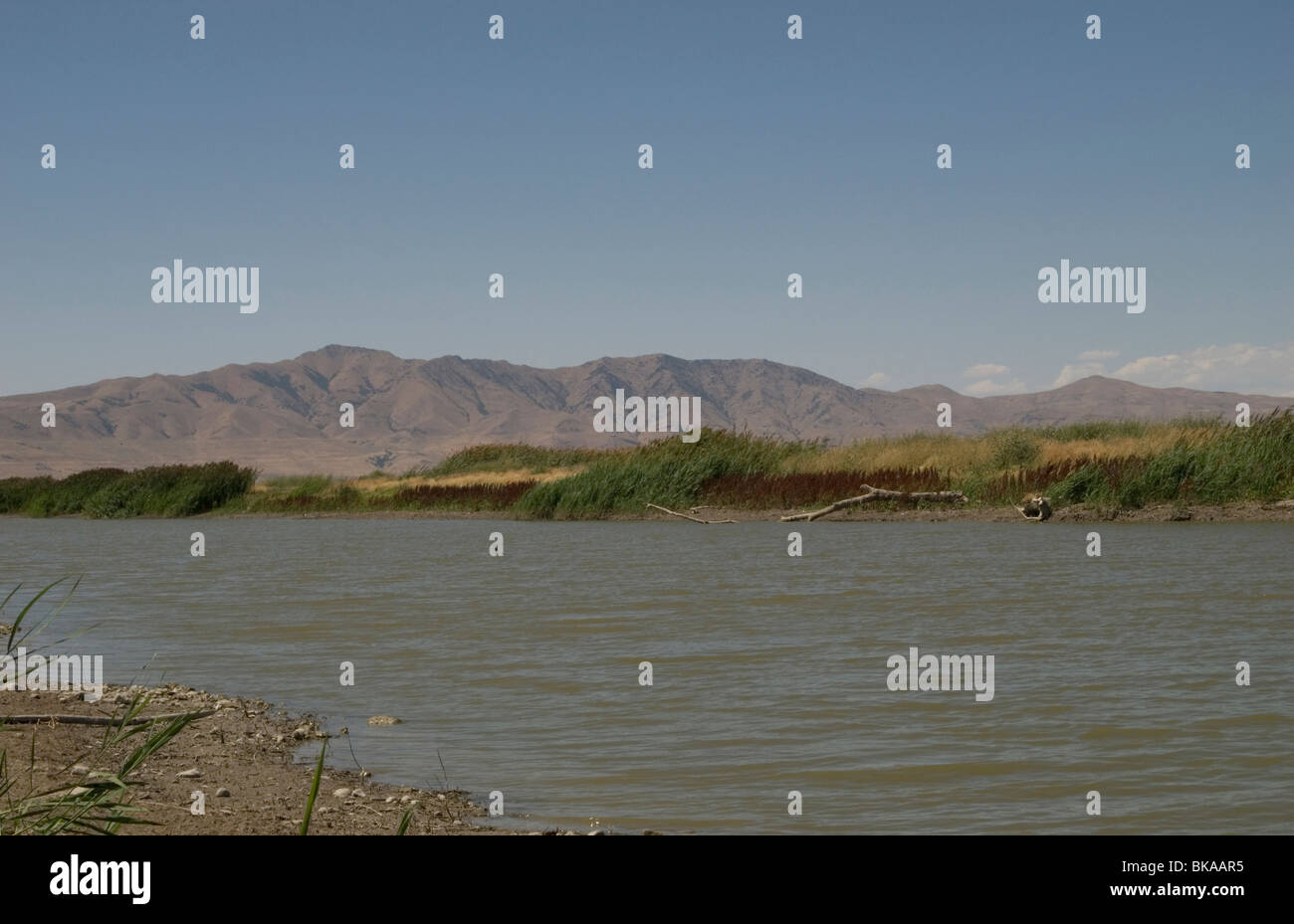 The Bear River Stock Photo Alamy