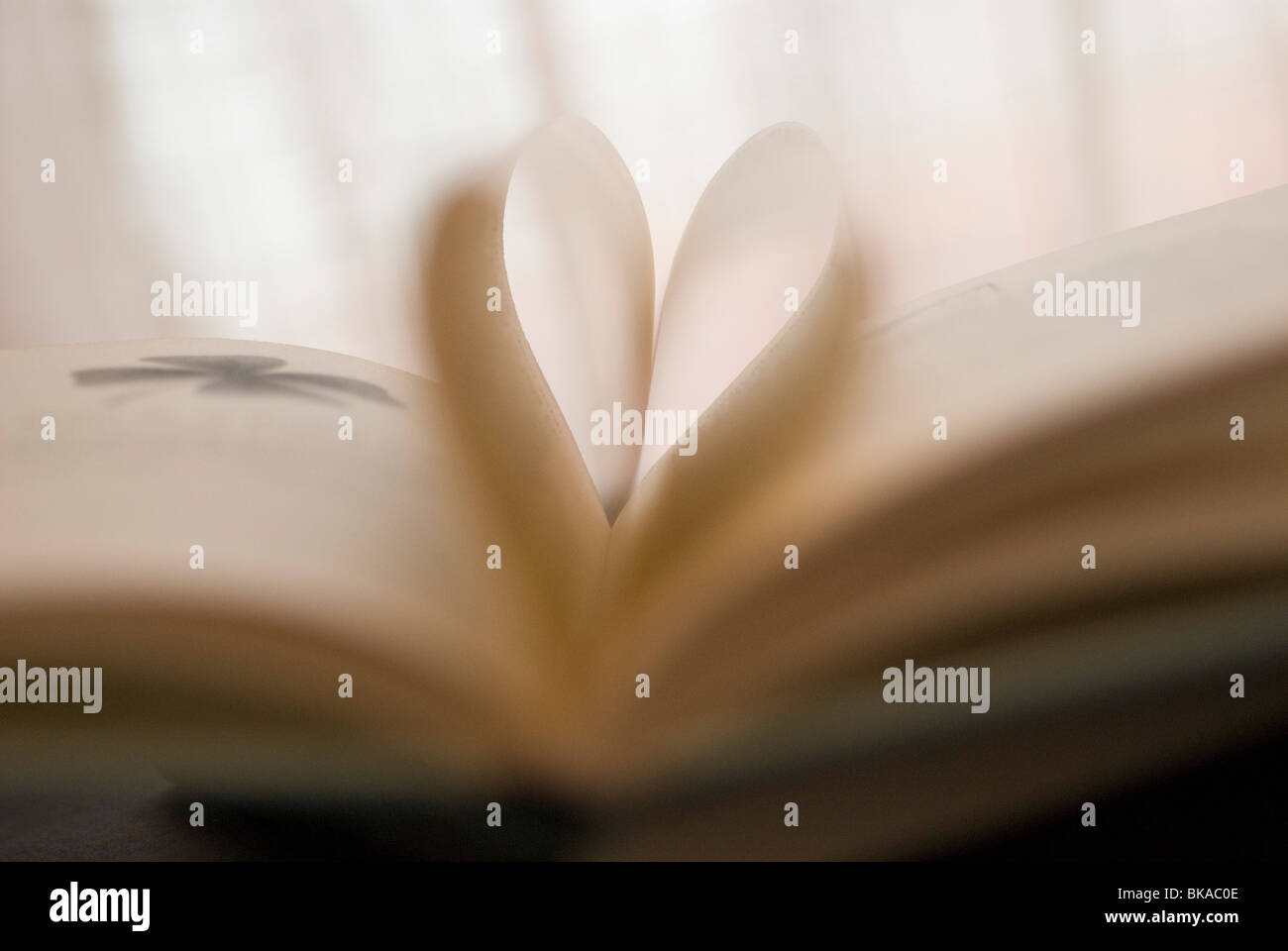 A heart made with the inside pages of the book Stock Photo