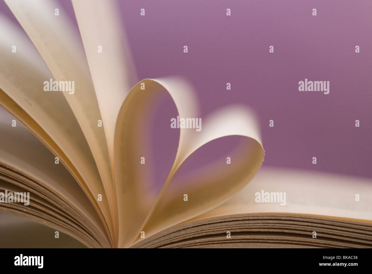 A heart made with the pages of the book Stock Photo
