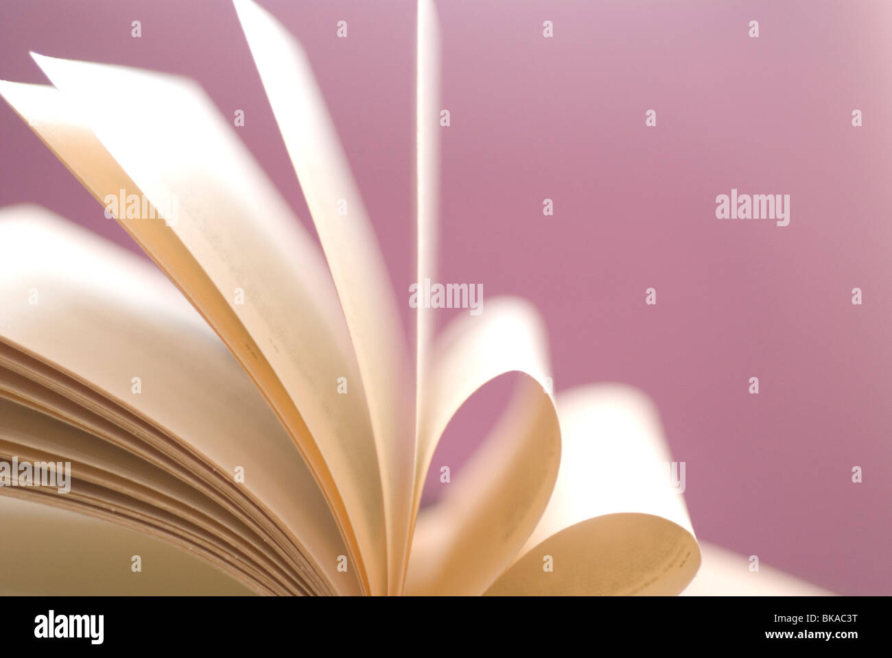 A heart made with the pages of the book Stock Photo