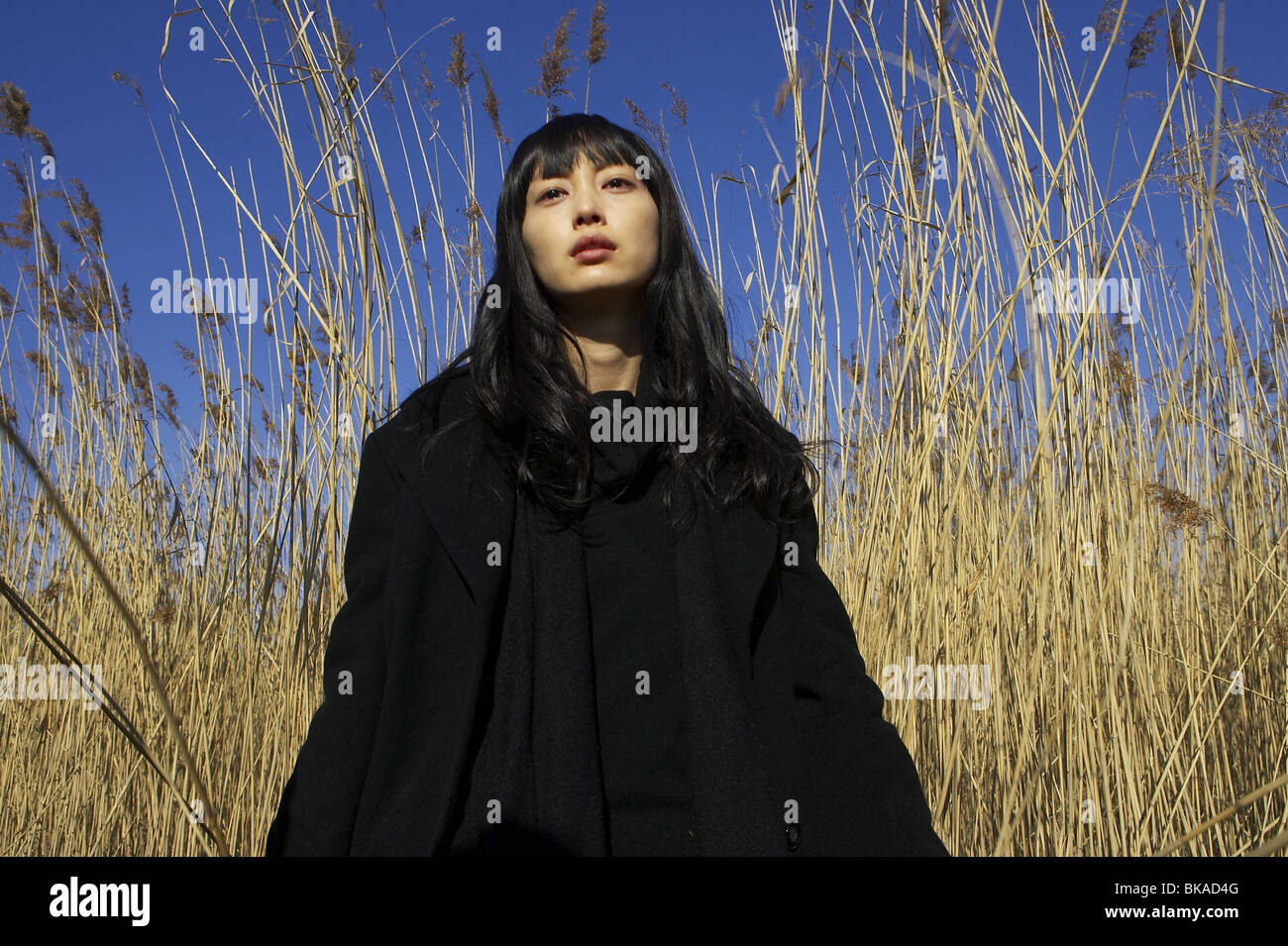 Мечта 2008. Ким ки дук мечта. Фильм мечта ким ки дук. Ким ки дук мечта. Мечта фильм 2008 корея.