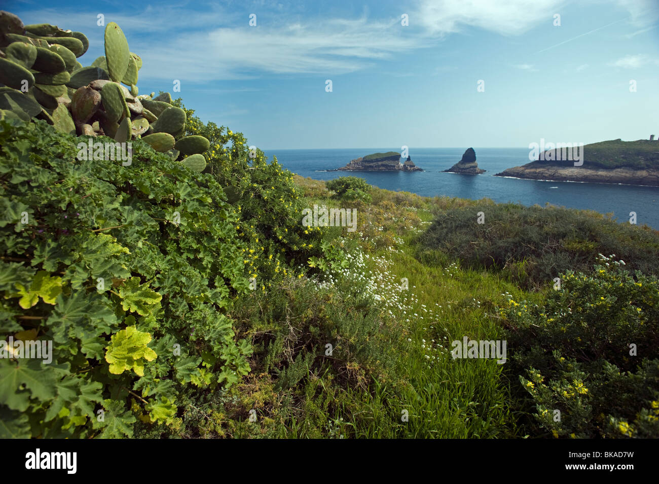 Columbretes Island Marine Protected Area, Spain Stock Photo