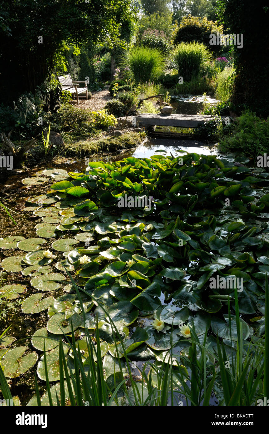 Garden pond with water lilies (Nymphaea). Design: Marianne and Detlef Lüdke Stock Photo