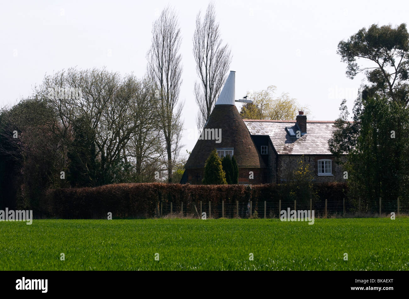 Oast house Elham valley kent Stock Photo Alamy