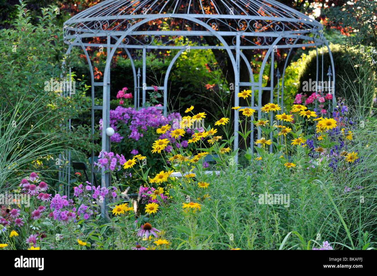 Garden phlox (Phlox paniculata) and false sunflower (Heliopsis helianthoides) in front of a garden pavilion. Design: Marianne and Detlef Lüdke Stock Photo