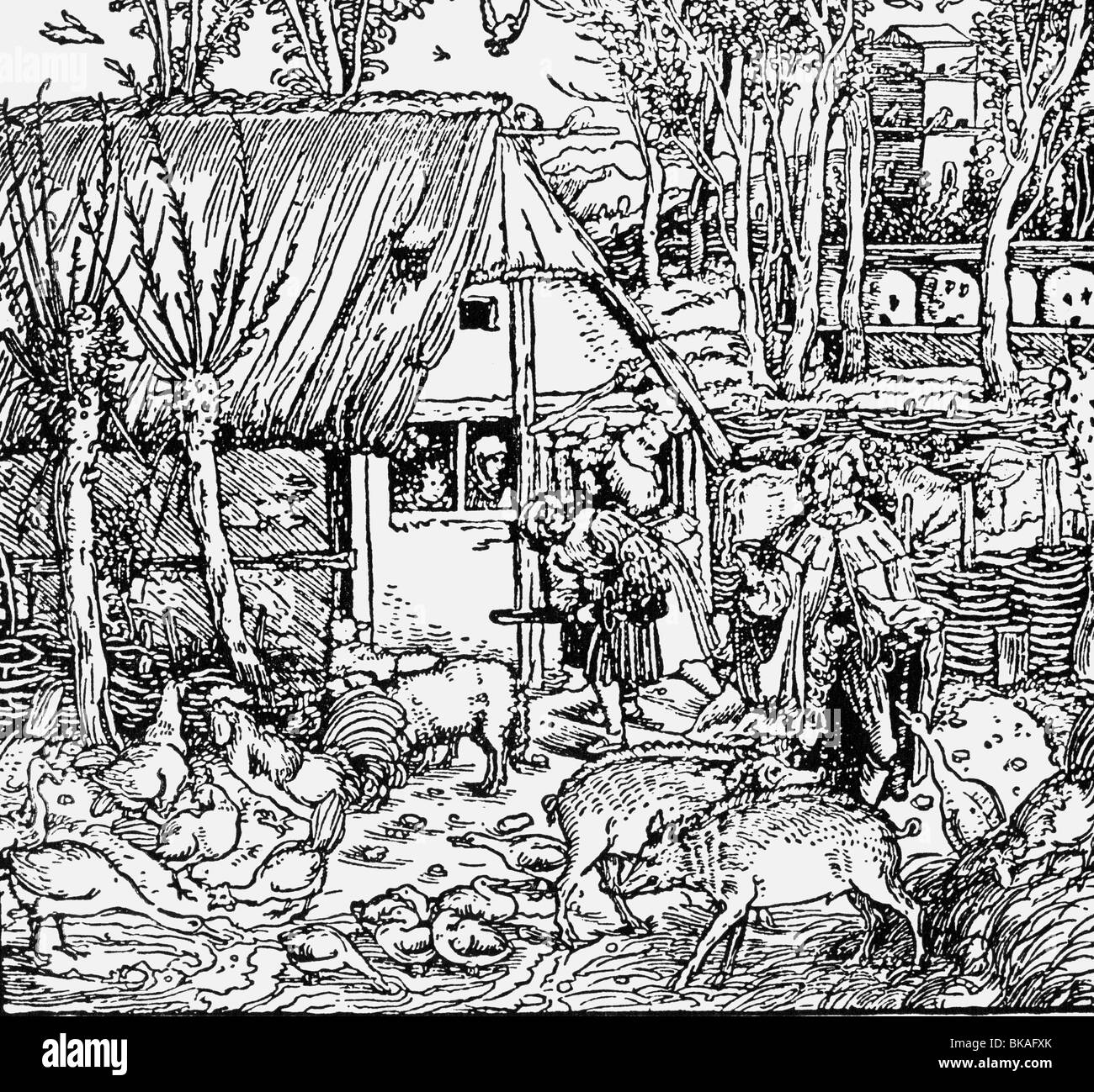 events, German Peasants' War 1524 1526 Stock Photo 29120859 Alamy