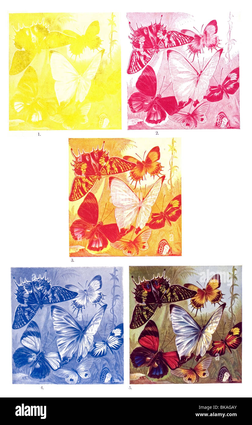 Three-colour Printing Stock Photo