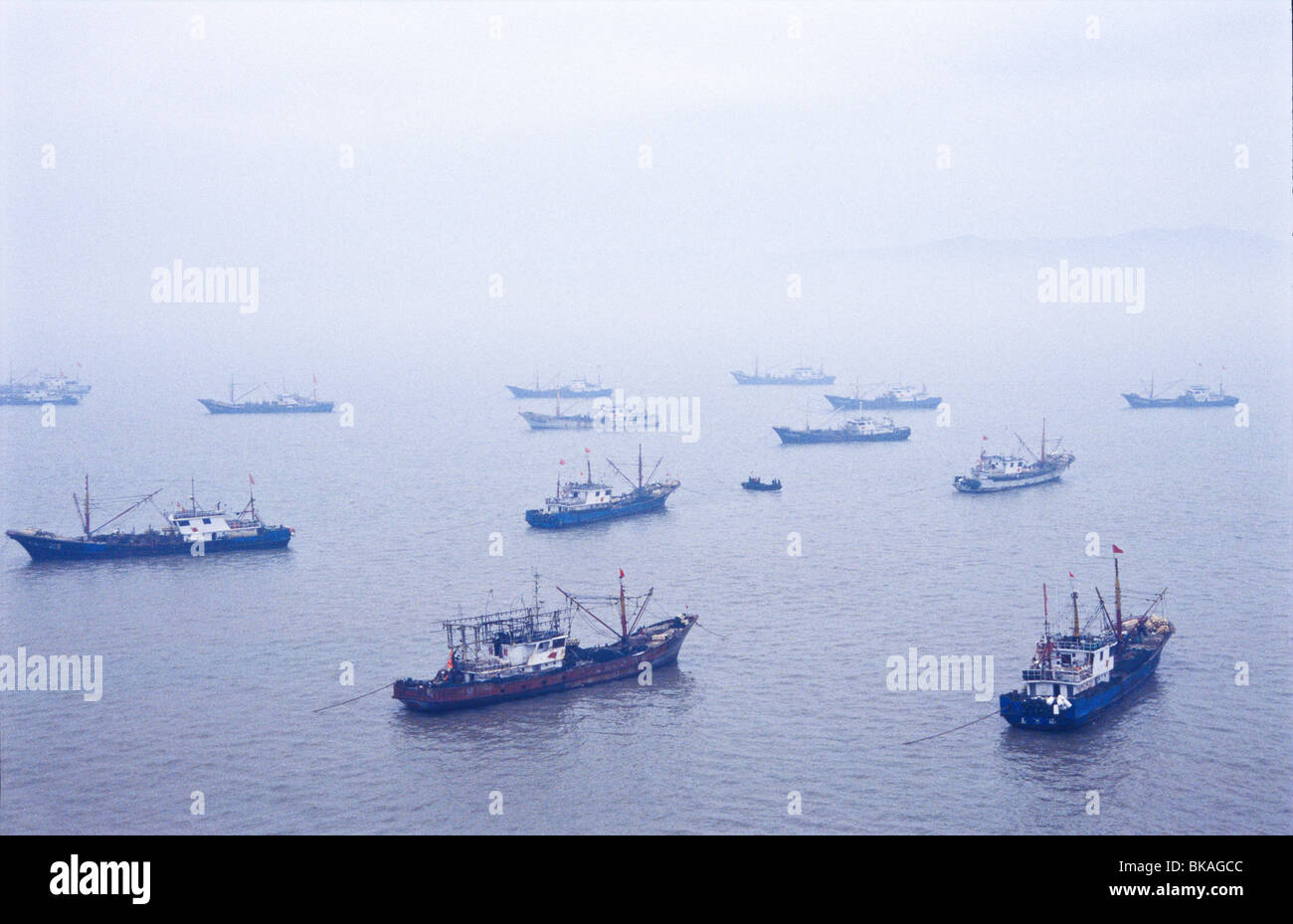 Fishing vessels / trawlers in the harbour of Jin Shan Island Stock ...