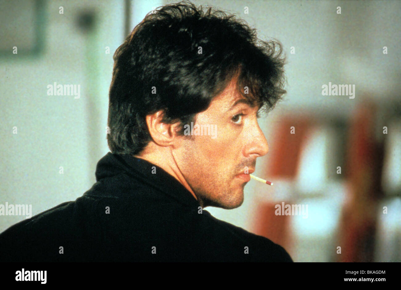 Stallone hi-res stock photography and images - Alamy