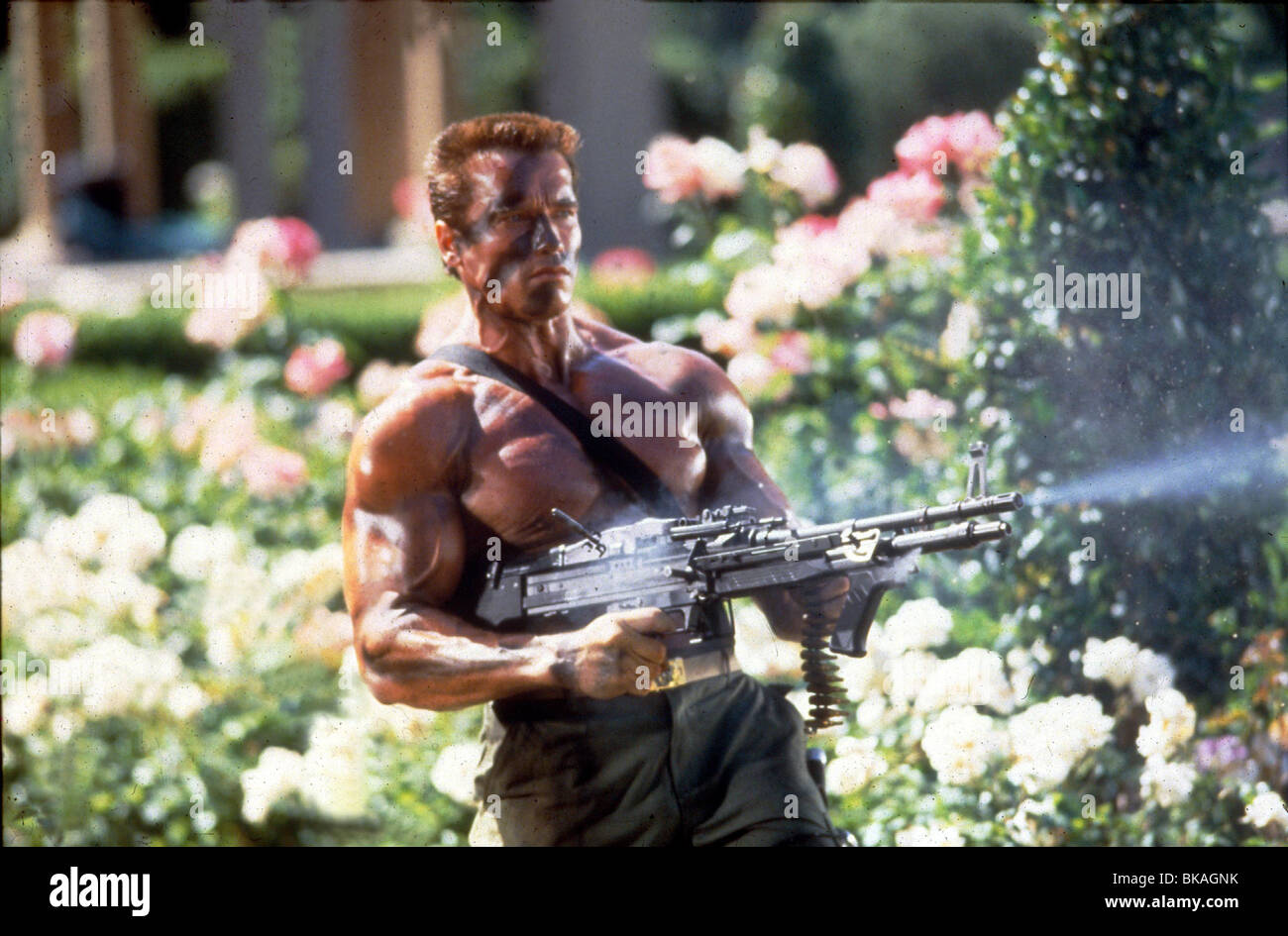 Commando 1985 hi-res stock photography and images - Alamy