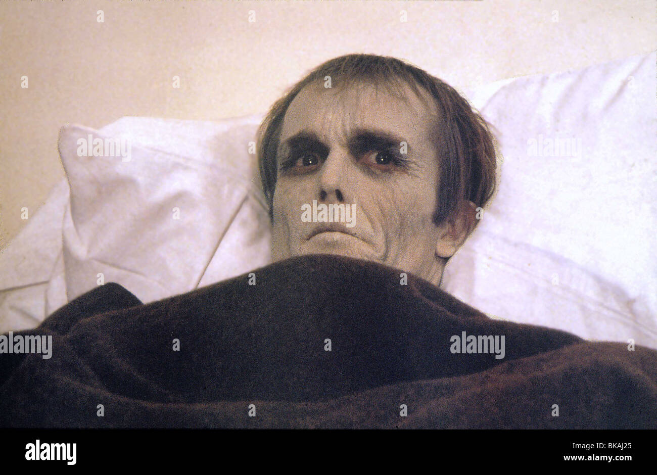 DAWN OF THE DEAD(1978) ZOMBIE (ALT) SCOTT H REINIGER DODE 003 Stock Photo
