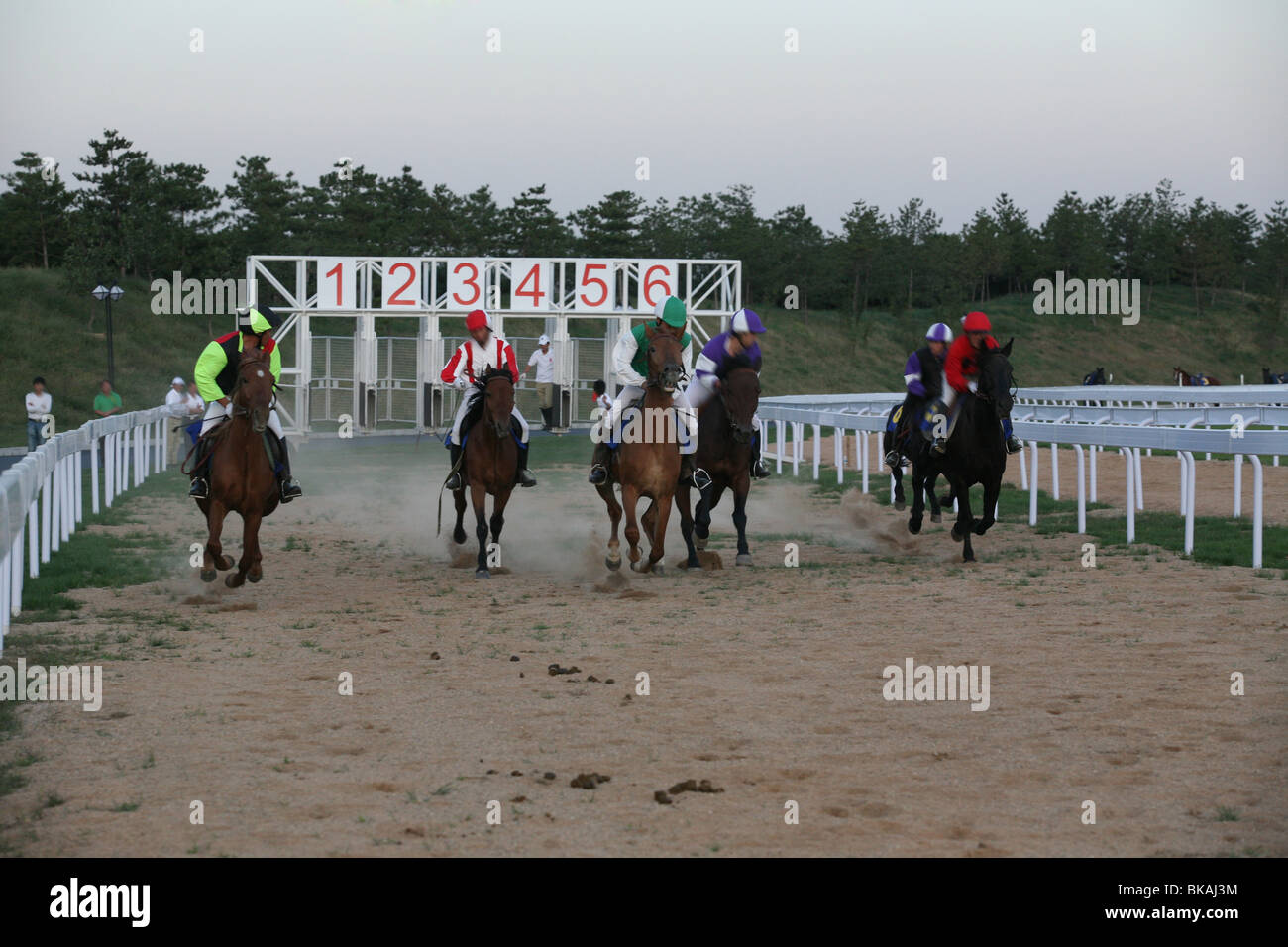 China horse riding hires stock photography and images Alamy