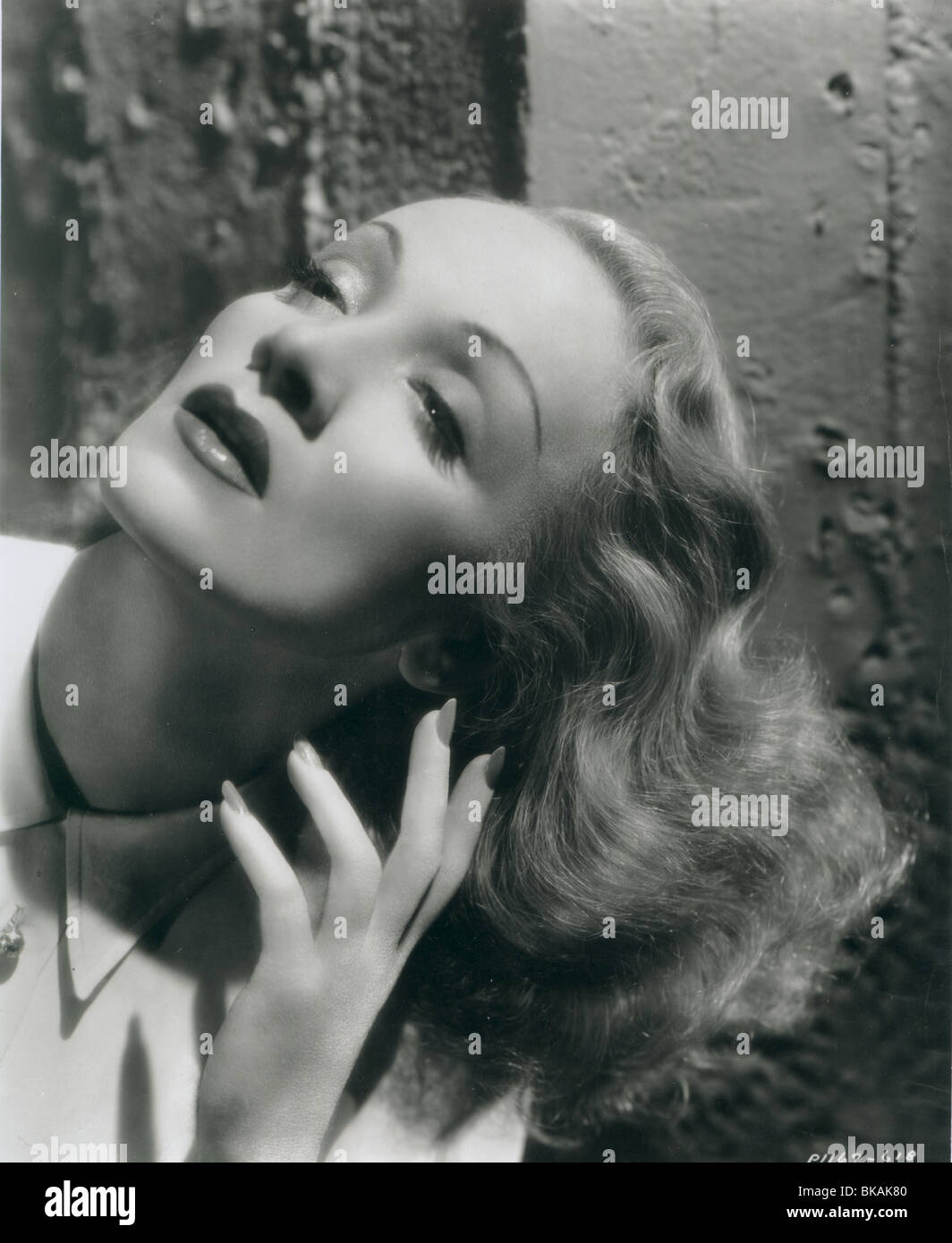 MARLENE DIETRICH PORTRAIT Stock Photo Alamy marlene-dietrich-portrait-stock-photo-alamy