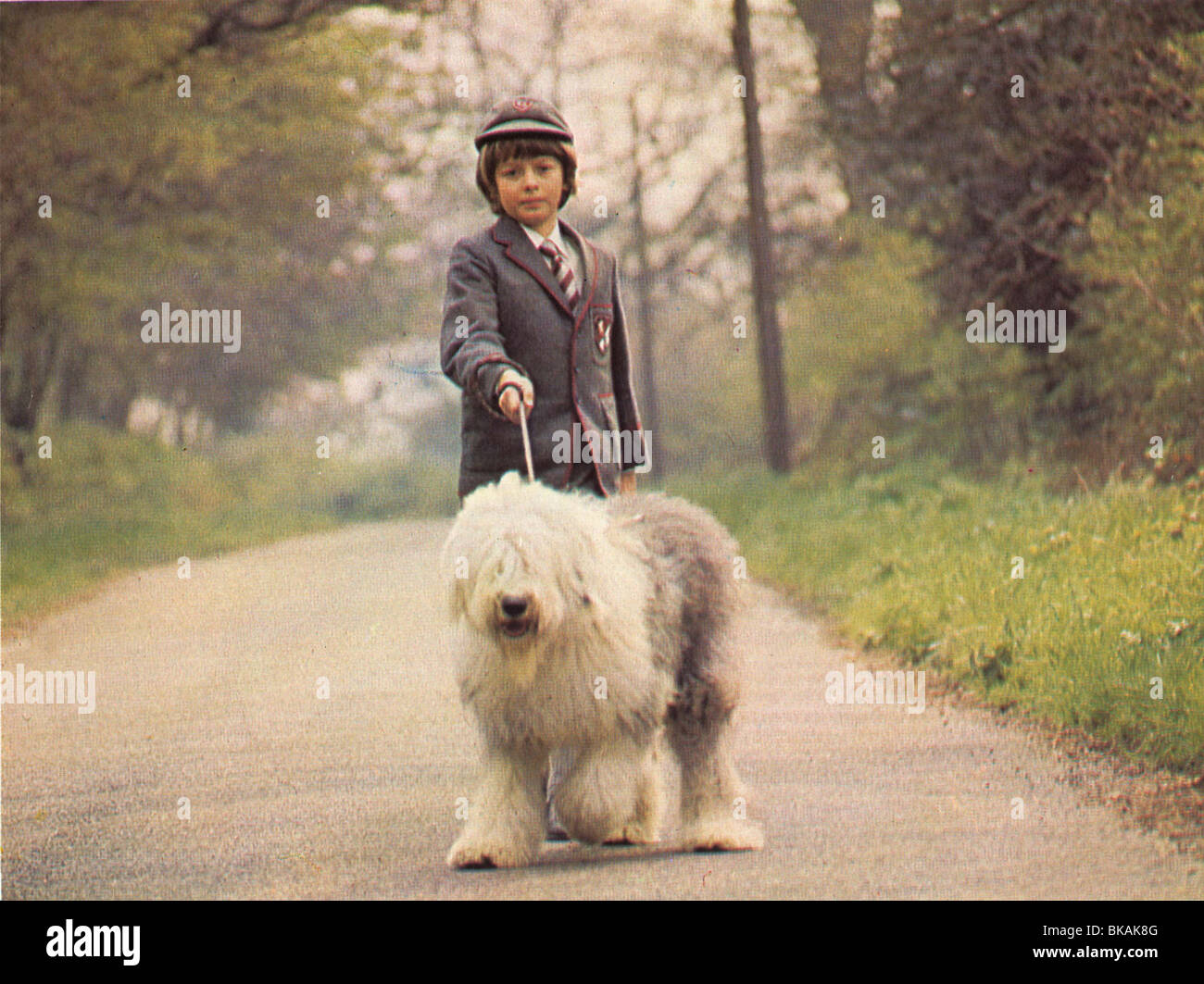 DIGBY, THE BIGGEST DOG IN THE WORLD (1973) NORMAN ROSSINGTON DBBD