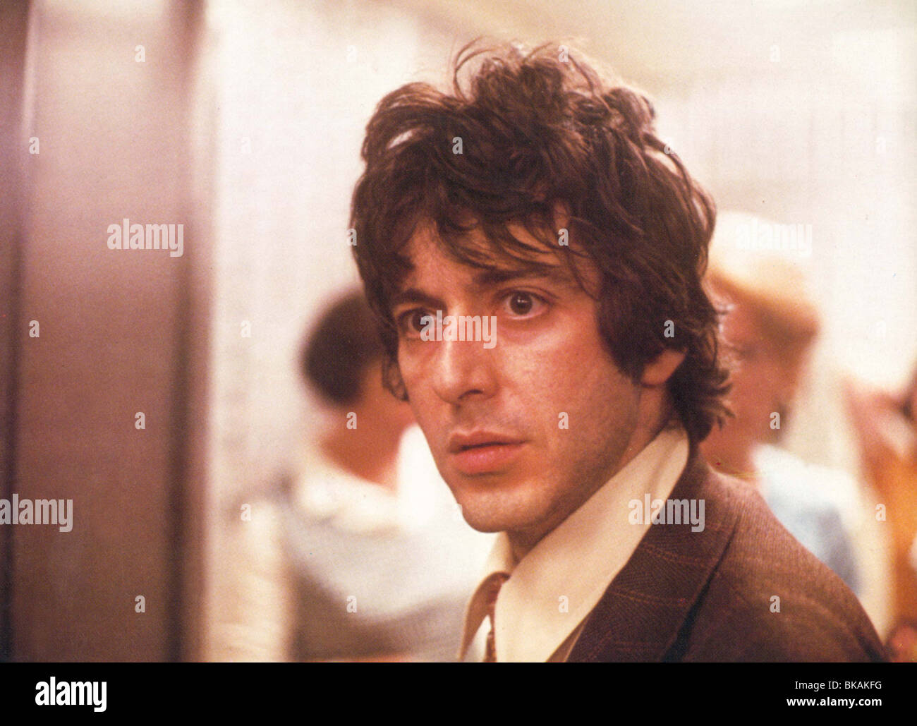 A Dog Day Afternoon Meaning