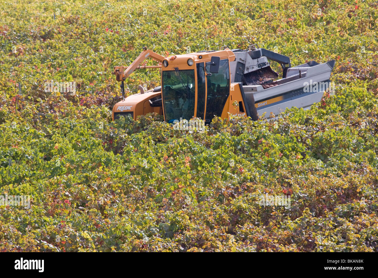 Modern vintage in Tuscany Stock Photo Alamy