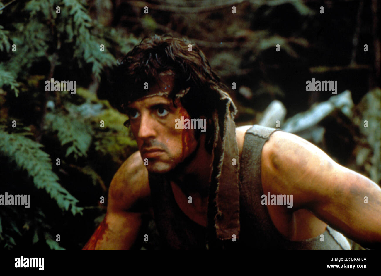 RAMBO: FIRST BLOOD (1982) SYLVESTER STALLONE BANDANA FSTB 015 MOVIESTORE  COLLECTION LTD Stock Photo - Alamy