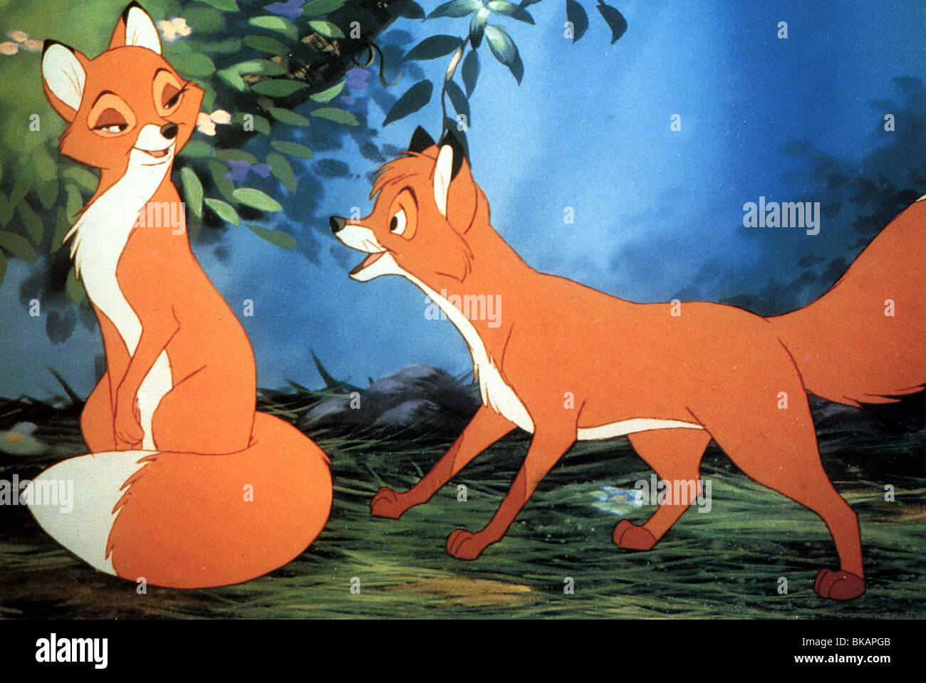 THE FOX AND THE HOUND (ANI - 1981) ANIMATED CREDIT DISNEY FATH 001FOH MOVIESTORE COLLECTION LTD Stock Photo
